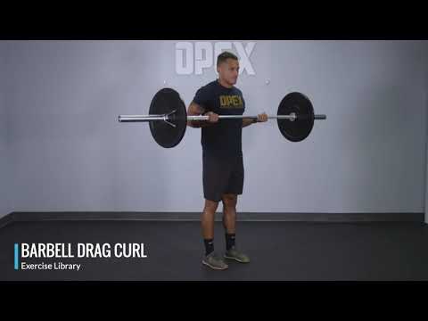Barbell Drag Curl - OPEX Exercise Library