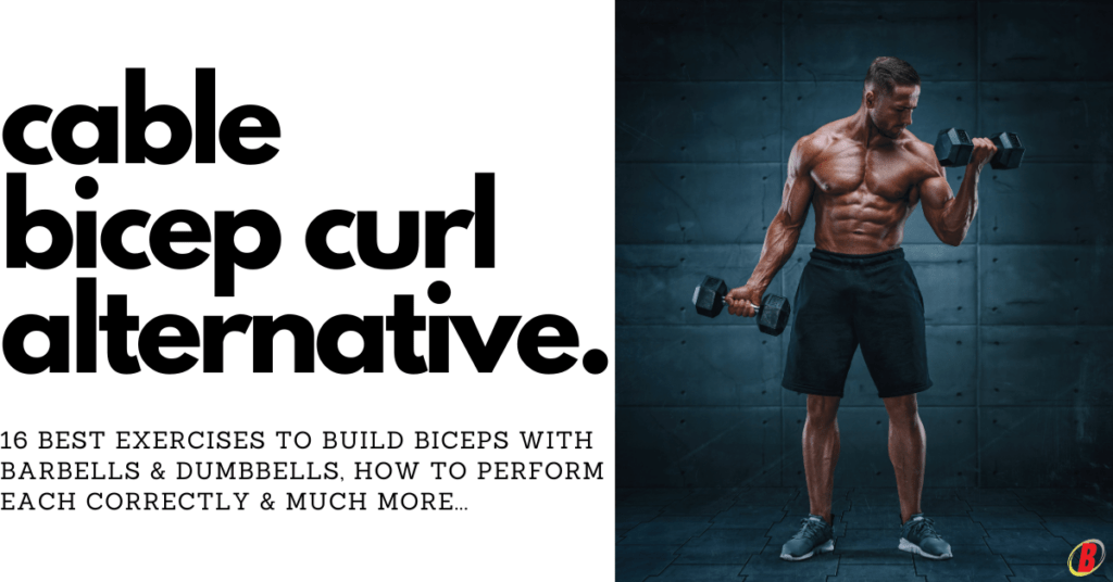 Cable Bicep Curl Alternative - Body360 Fit 